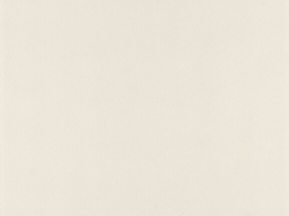 uploads/images/tonalite/kleur/aquarel/tonalite_aquarel_cream.jpg