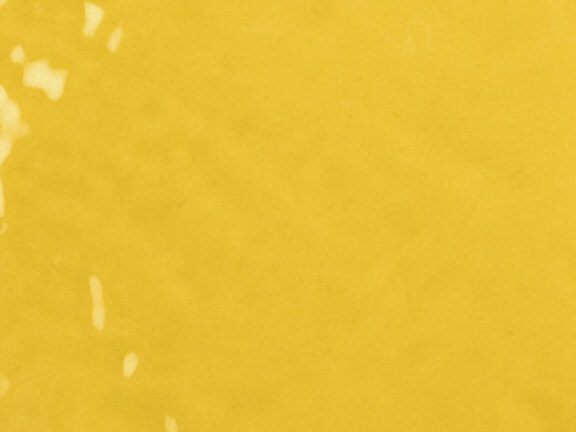 uploads/images/tonalite/kleur/exabright/tonalite_exabright_giallo.jpg
