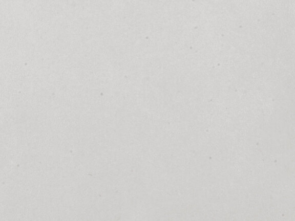 uploads/images/tonalite/kleur/examatt/tonalite_examatt_grigio-chiaro.jpg