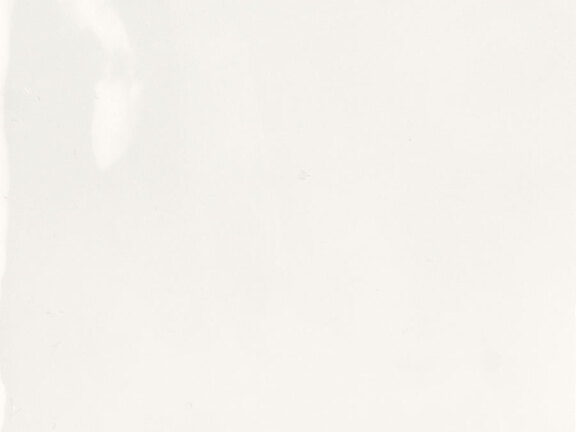 uploads/images/tonalite/kleur/fluid/tonalite_fluid_camelia.jpg